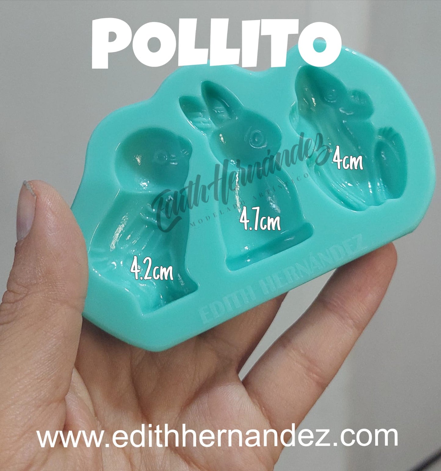 pollito