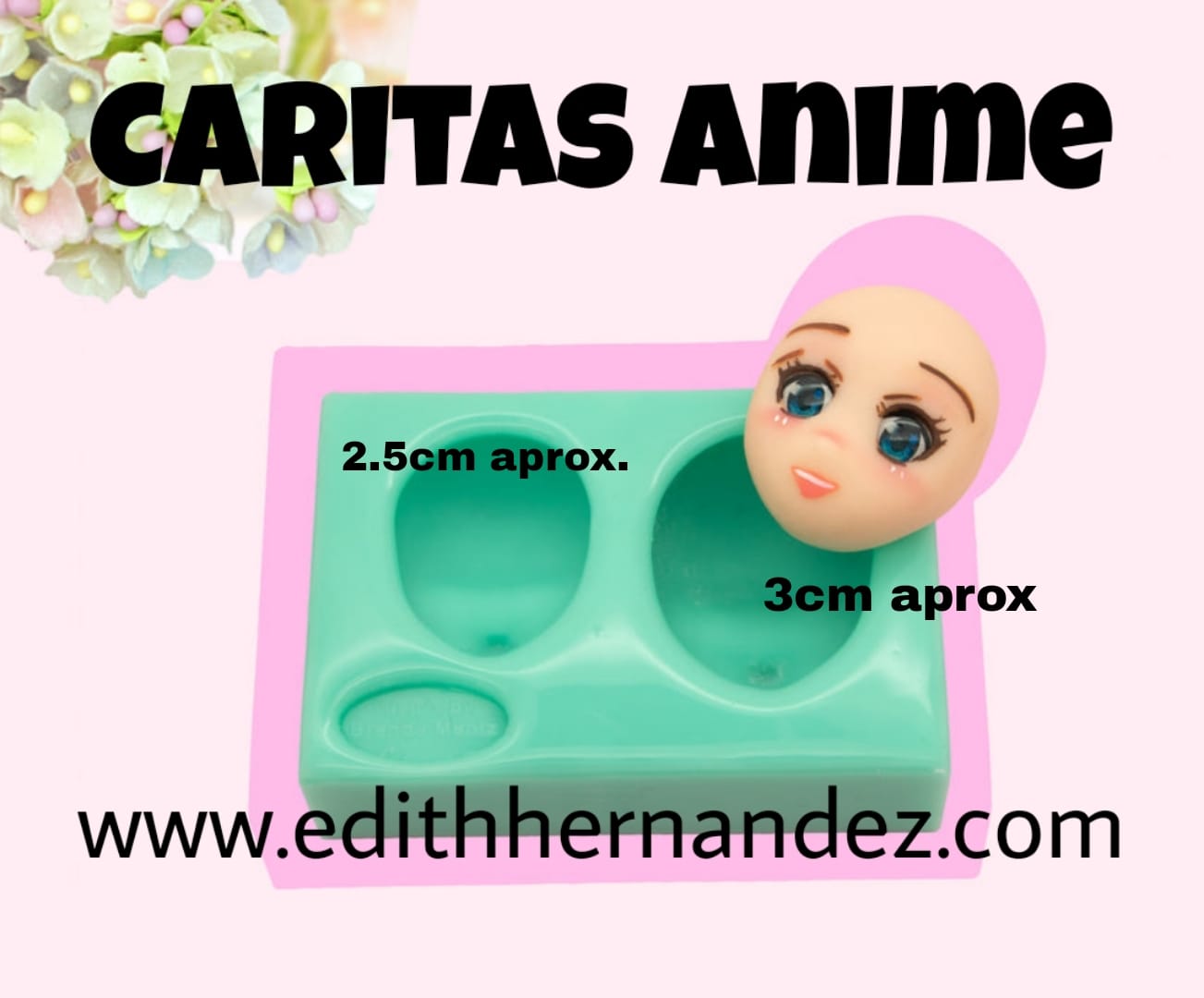 Caritas anime