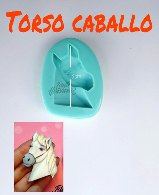 torso caballo